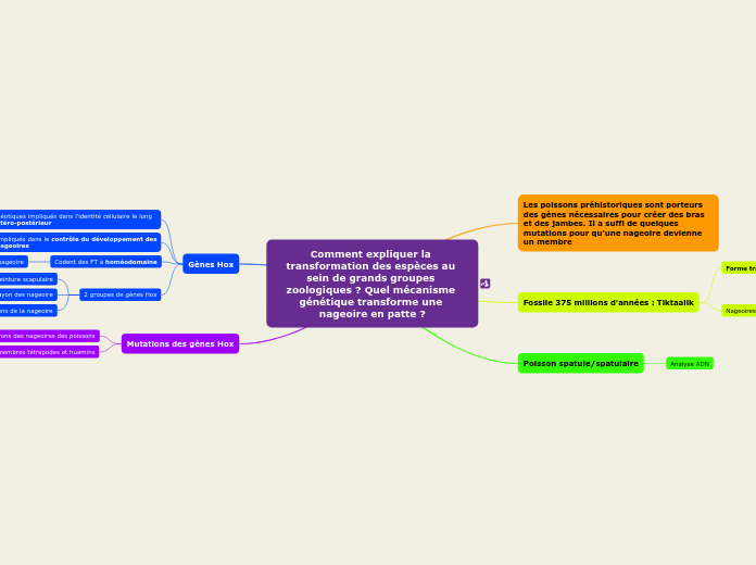 Comment expliquer la transformation d...- Carte Mentale