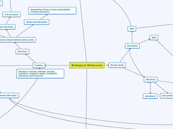 Biological Molecules - Mind Map