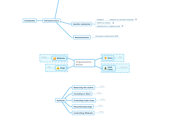 Boston Matrix - Mind Map