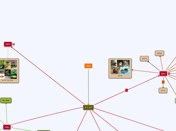 מדעים - Mind Map