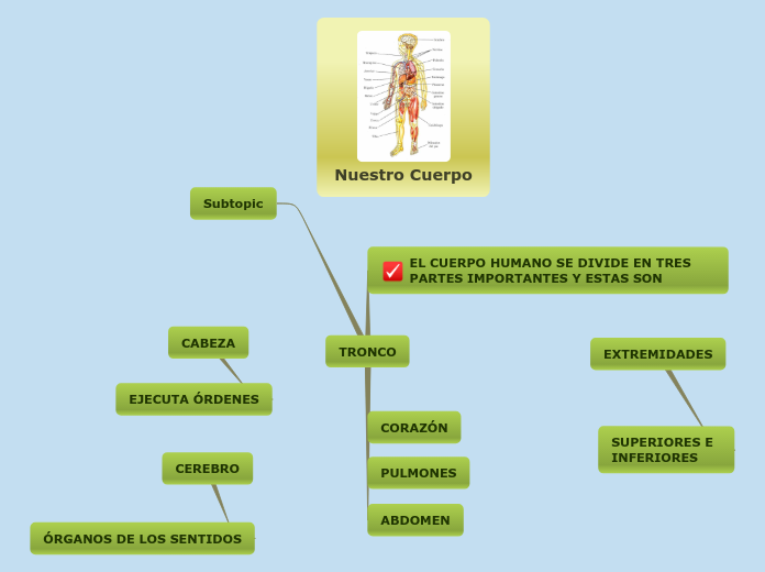 Nuestro Cuerpo - Mapa Mental