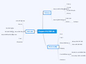 Rayans Web - Mind Map