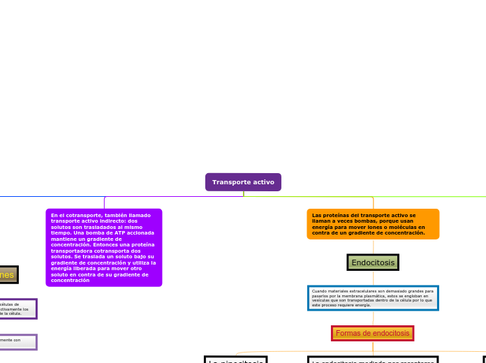 Transporte activo - Mapa Mental