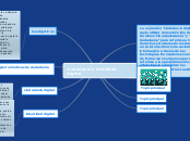 ciudadanía e identidad digital - Mapa Mental
