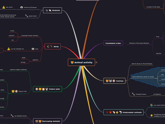 Animal activity - Mind Map
