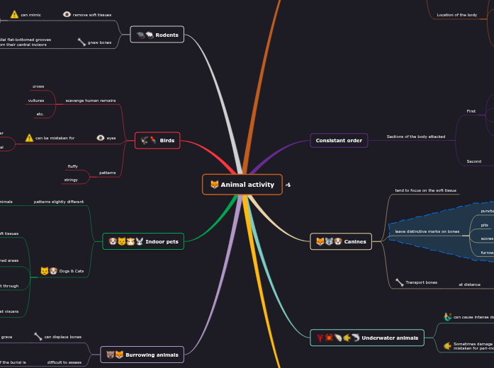 Forensic Taphonomy - Animal activity