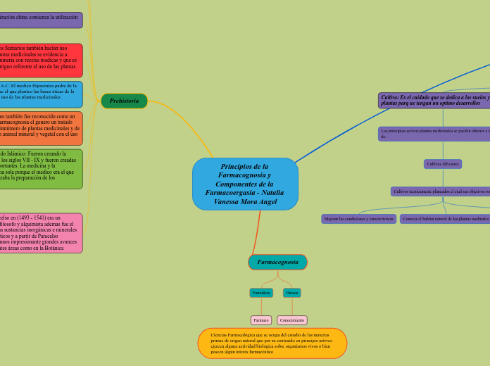 Principios de la Farmacognosia y Compon...- Mapa Mental