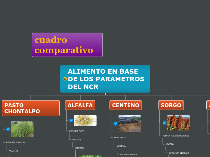ALIMENTO EN BASE DE LOS PARAMETROS DEL ...- Mapa Mental