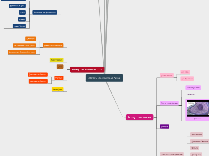 Risa's Chapter 3 - Cell Structure and Func...- Mind Map