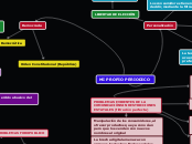 Mi propio periódico - Mapa Mental