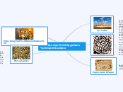 5 Ancient Egyptians Contributions - Mind Map