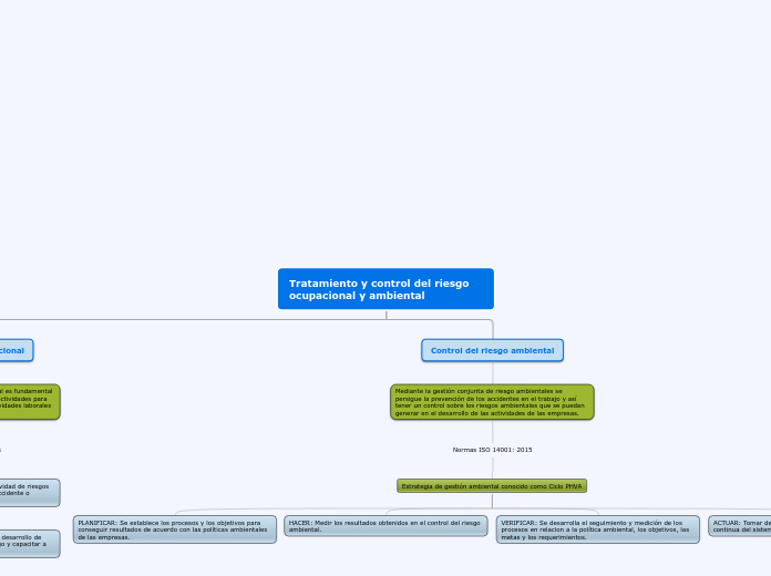 Tratamiento y control del riesgo     oc...- Mapa Mental