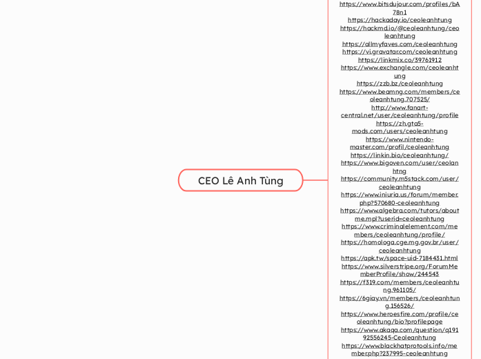 CEO Lê Anh Tùng - Mindmap