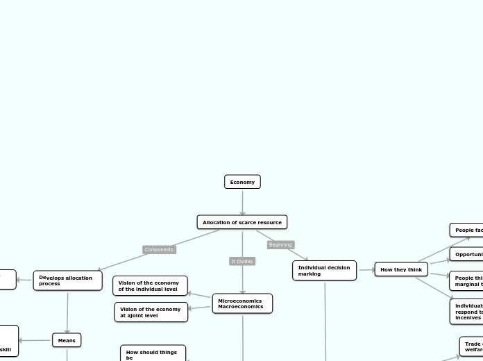 Economy - Mind Map