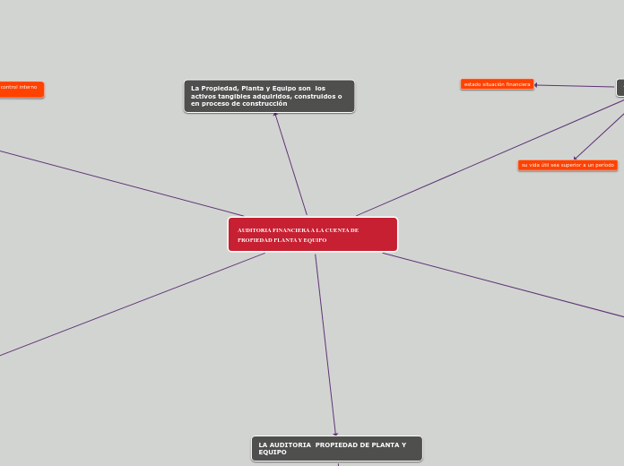 AUDITORIA FINANCIERA A LA CUENTA DE PRO...- Mapa Mental