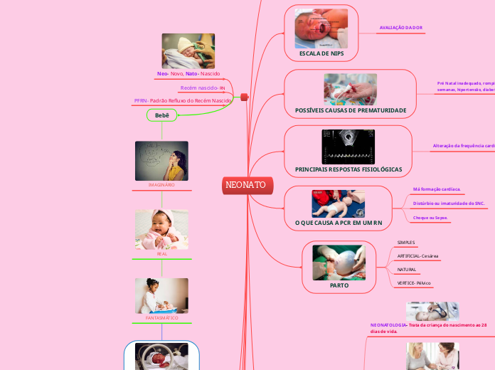 NEONATO - Mapa Mental