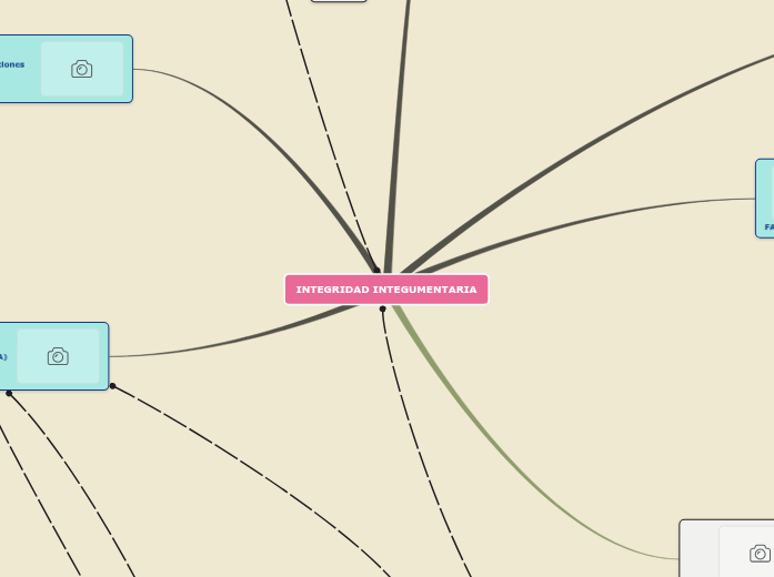 INTEGRIDAD INTEGUMENTARIA - Mapa Mental