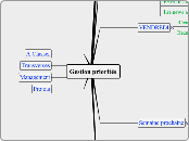 Gestion priorités - Carte Mentale
