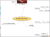 Evolution Beuteltiere - Mindmap