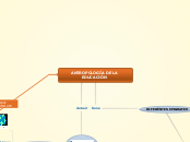ANTROPOLOGÍA DE LA EDUCACIÓN - Mapa Mental