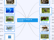 Animales en Peligro de Extincion - Mapa Mental
