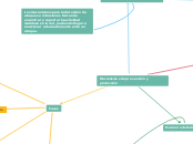 Mecanismos de prevención y protección - Mapa Mental