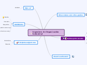 Ingeniero de Organización Industrial - Mapa Mental