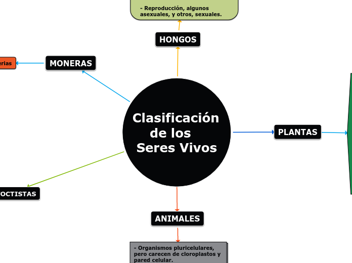 Clasificación         de los   Seres Vi...- Mapa Mental