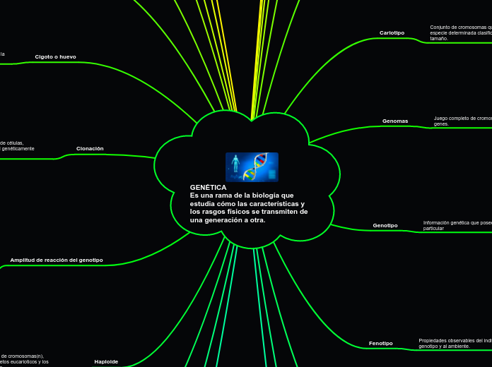 GENÉTICA
Es una rama de la biología que...- Mapa Mental
