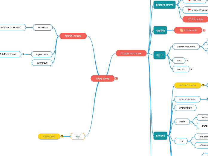 בדיקה עיסקה - Mind Map