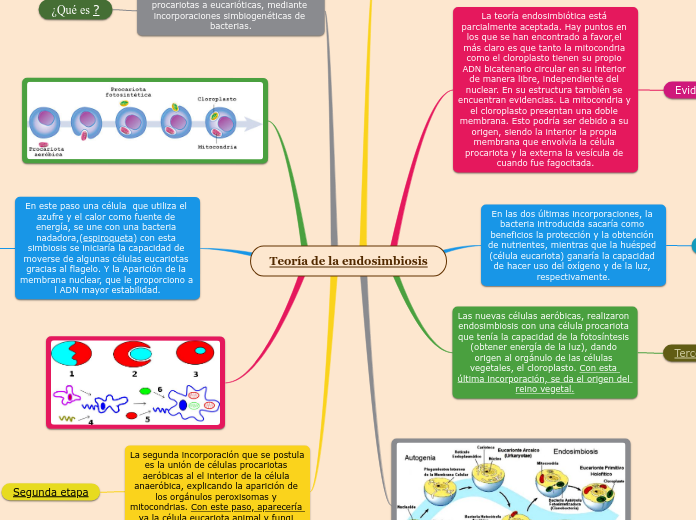 Teoría de la endosimbiosis - Mapa Mental