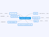 lymphatic system - Mind Map