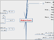 Elephant Report - Mind Map