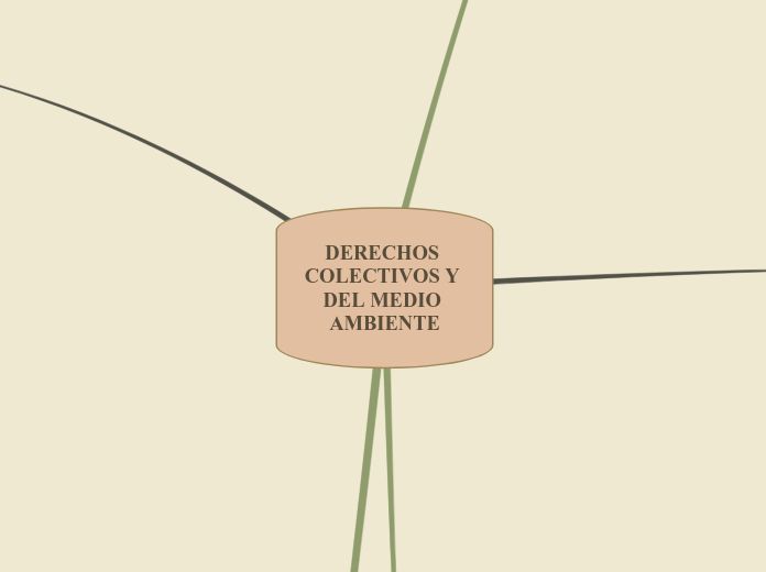 DERECHOS COLECTIVOS Y DEL MEDIO AMBIENT...- Mapa Mental