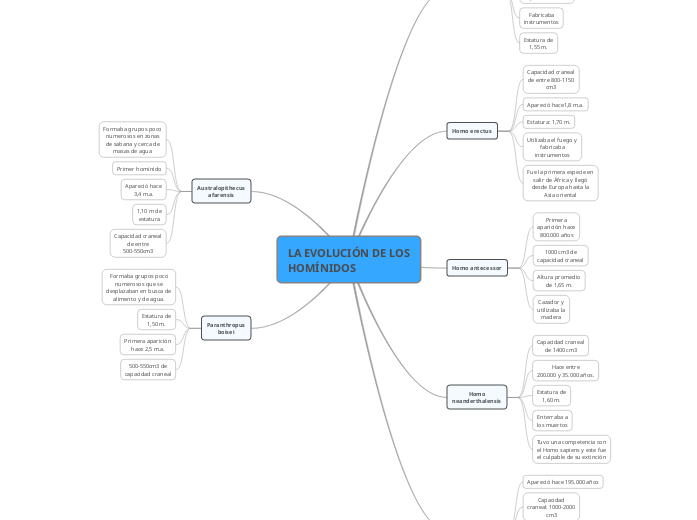 LA EVOLUCIÓN DE LOS HOMÍNIDOS - Mind Map