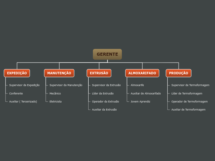 GERENTE - Mapa Mental