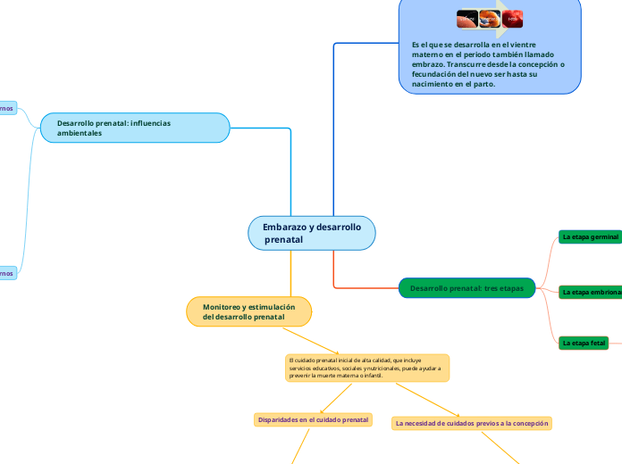 Embarazo y desarrollo
 prenatal - Mapa Mental