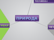 природа - Мыслительная карта