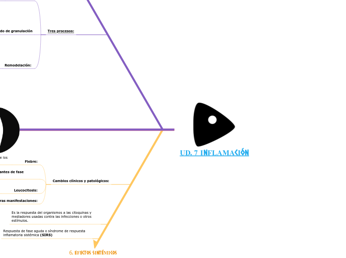 UD. 7 INFLAMACIÓN - Mapa Mental