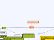 Acidos Nucleicos - Mapa Mental