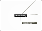 Sample Mind Map - Mind Map