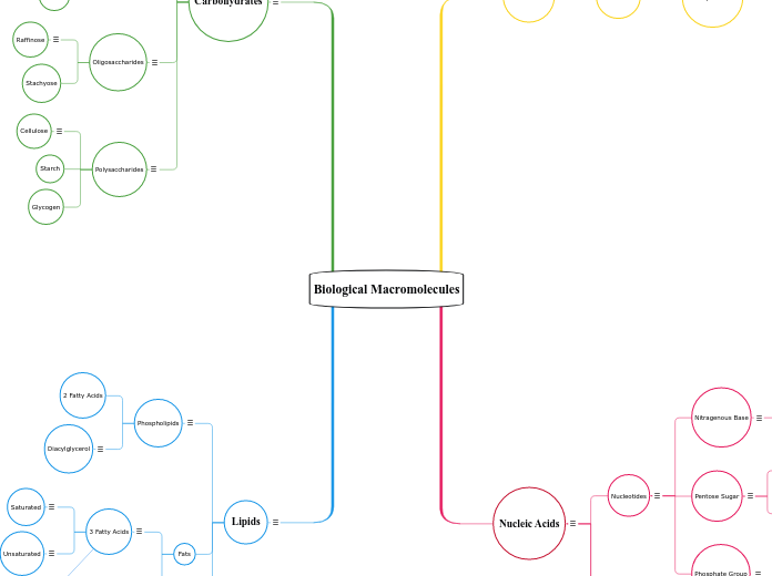 Biological Macromolecules - Mind Map