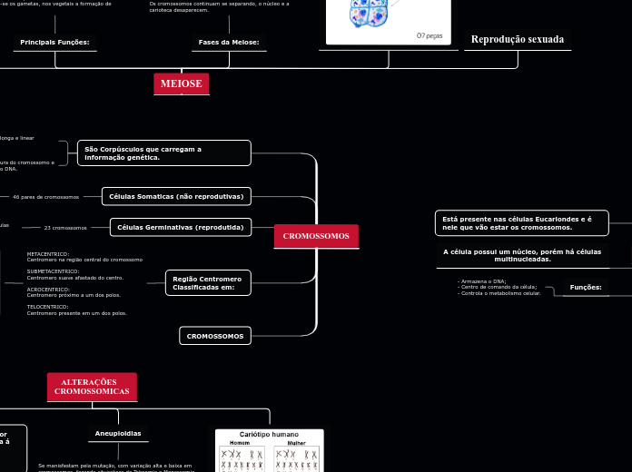 Mapa mental síndrome de Ehlers Danlos - Biologia Celular