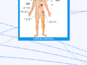 SISTEMA LINFÁTICO - Mapa Mental