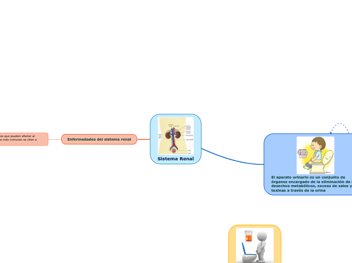 Sistema Renal - Mapa Mental
