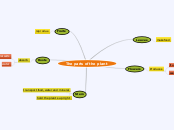 The parts of the plant - Mind Map