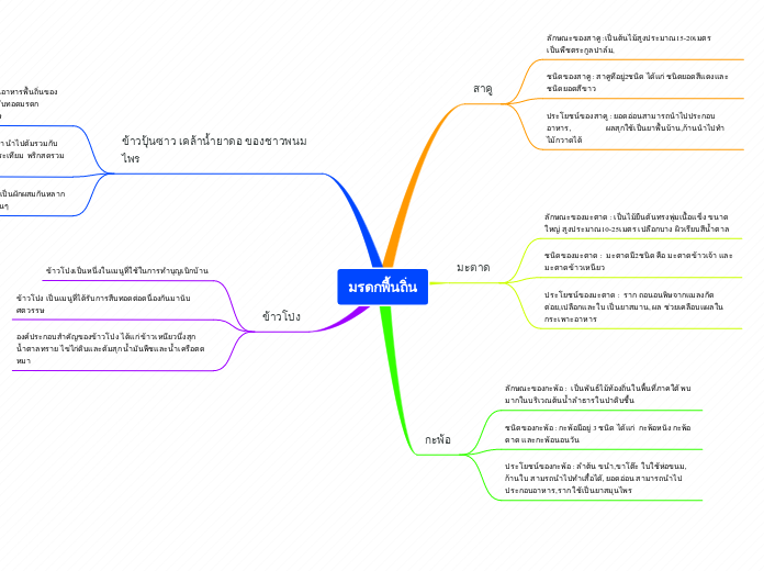 มรดกพื้นถิ่น - Mind Map