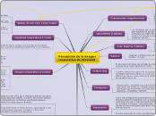 Percepción de la imagen corporativa de ...- Mapa Mental