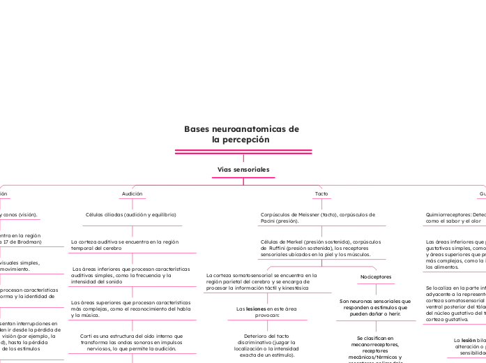 Bases neuroanatomicas de la percepción  
