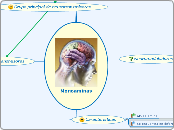 Monoaminas - Mapa Mental